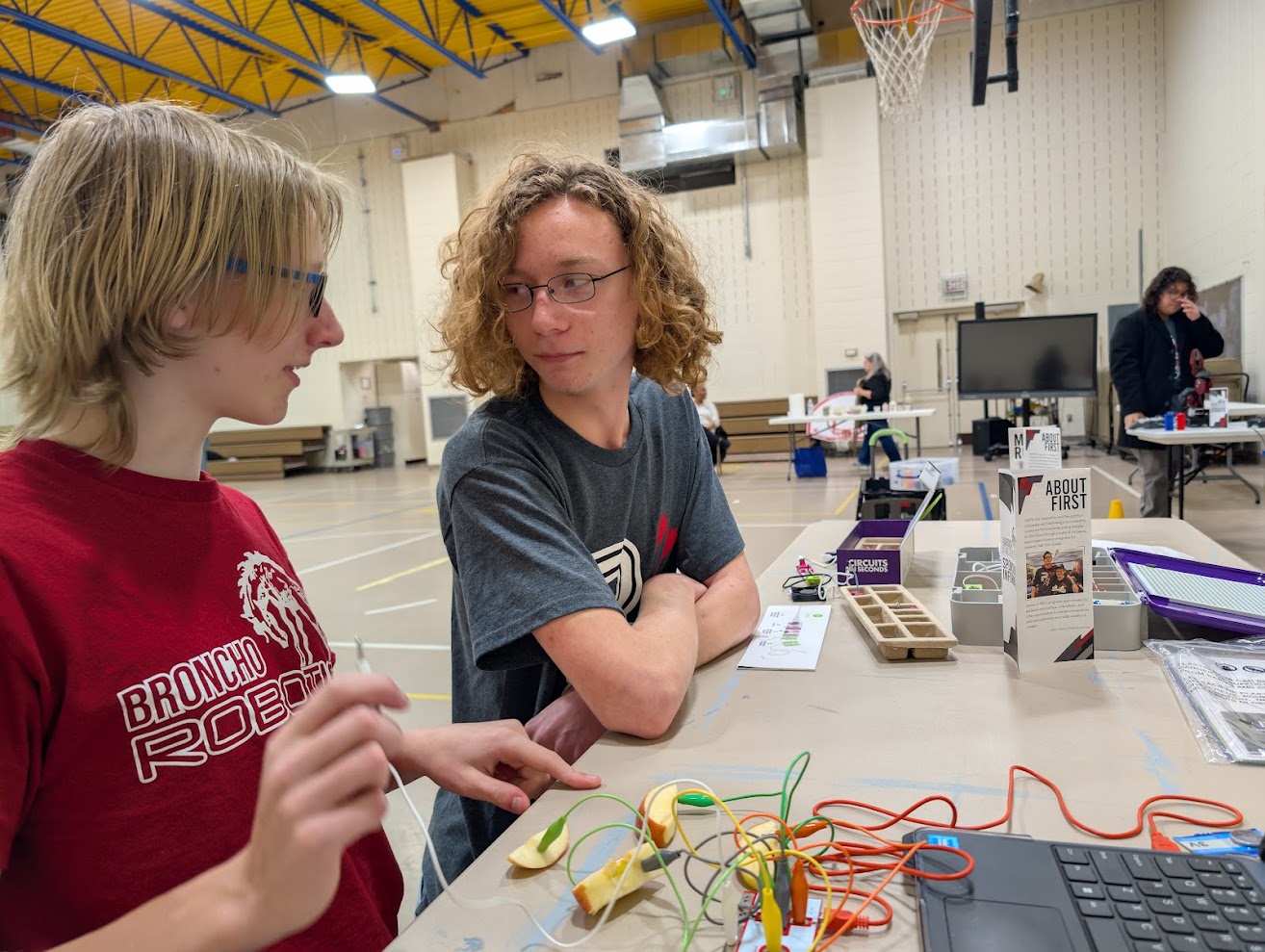 STEM Nights